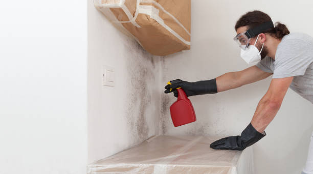 Professional Attic Mold Remediation technician working in West New York, NJ