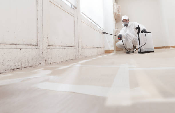 24/7 Emergency Attic Mold Remediation experts in West New York, NJ
