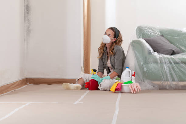 Reliable Attic Mold Remediation contractor in West New York, NJ by Car Mold Remediation